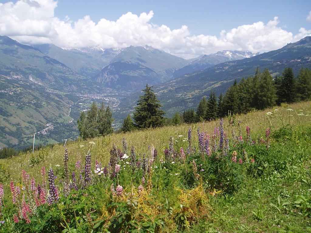 Chalet Les Gentianes La Plagne Exterior foto